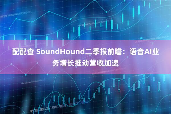 配配查 SoundHound二季报前瞻：语音AI业务增长推动营收加速