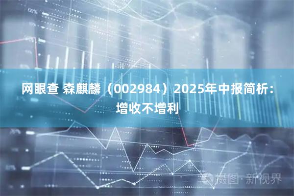 网眼查 森麒麟（002984）2025年中报简析：增收不增利