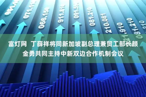 富灯网  丁薛祥将同新加坡副总理兼贸工部长颜金勇共同主持中新双边合作机制会议